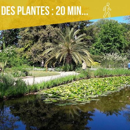 Amja Proche Clinique Saint-Roch Apt 3 Chambres 3 Salles De Bain Parking Gratuit Ideal Famille Groupe Coworking 10 Min Centre Ville 10 Min Plage 5 Min Sortie Autoroute Montpellier Exteriör bild