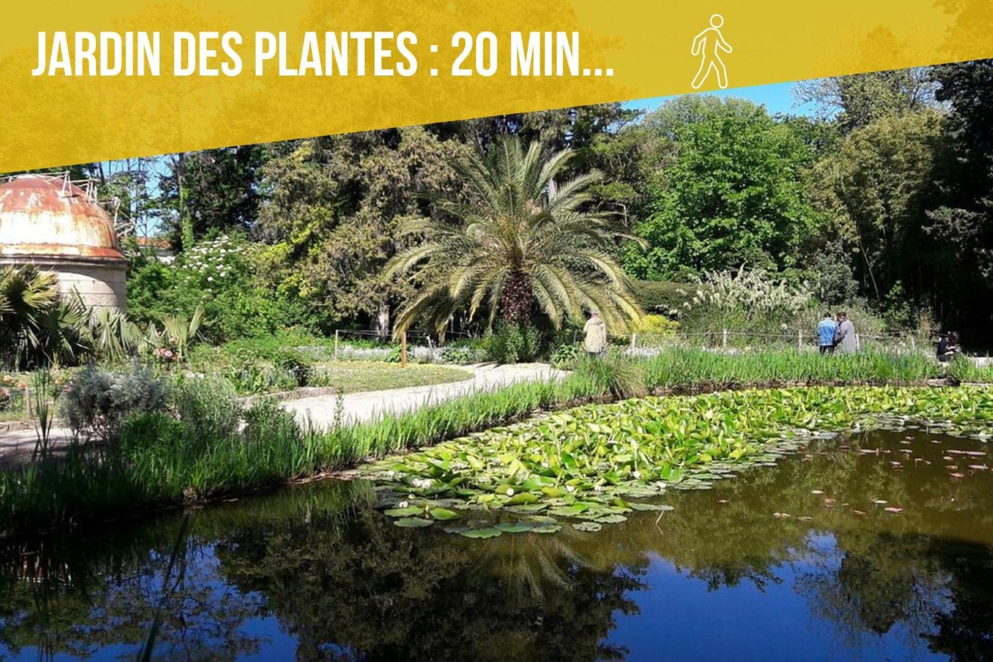 Amja Proche Clinique Saint-Roch Apt 3 Chambres 3 Salles De Bain Parking Gratuit Ideal Famille Groupe Coworking 10 Min Centre Ville 10 Min Plage 5 Min Sortie Autoroute Montpellier Exteriör bild