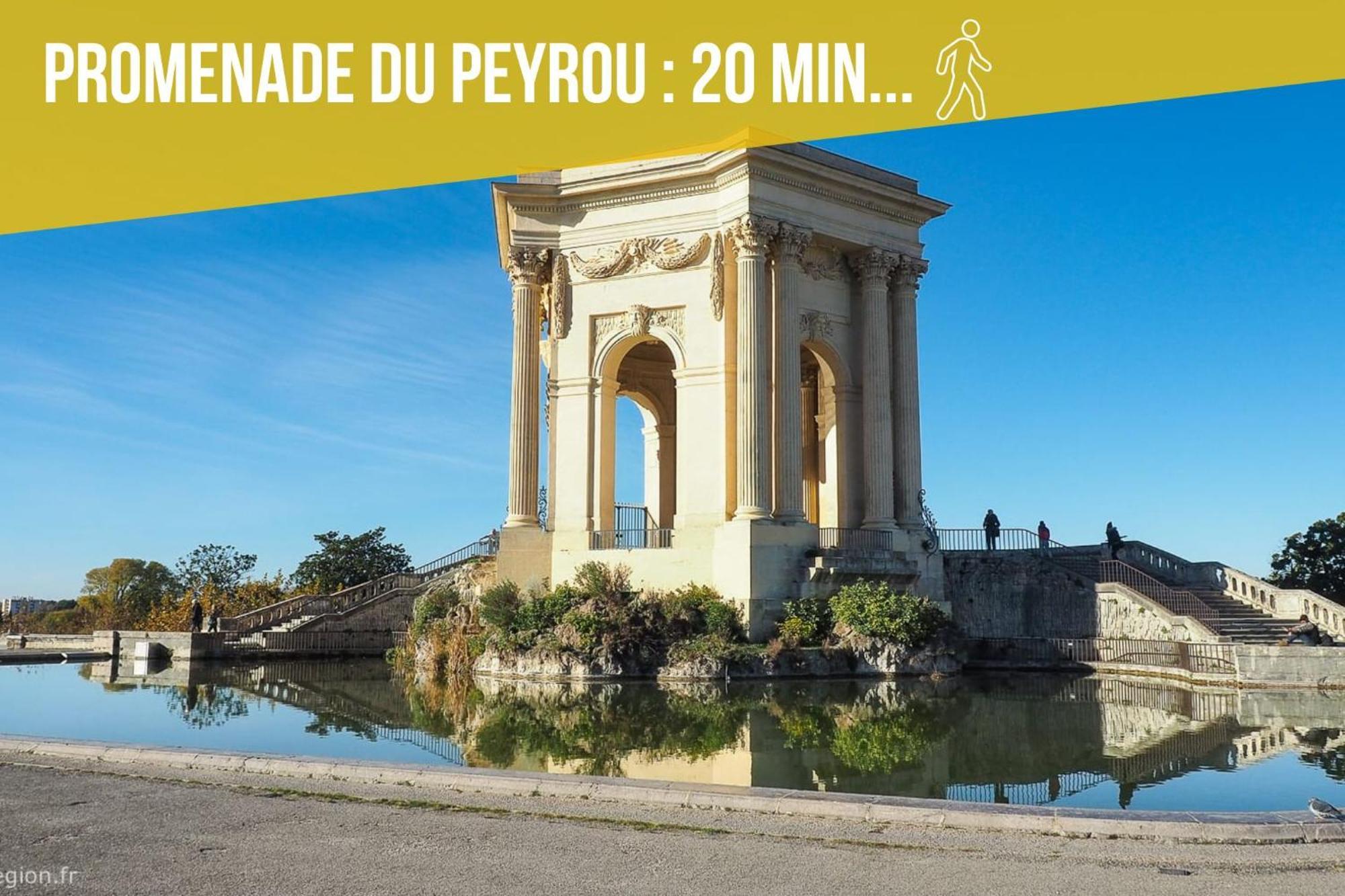 Amja Proche Clinique Saint-Roch Apt 3 Chambres 3 Salles De Bain Parking Gratuit Ideal Famille Groupe Coworking 10 Min Centre Ville 10 Min Plage 5 Min Sortie Autoroute Montpellier Exteriör bild