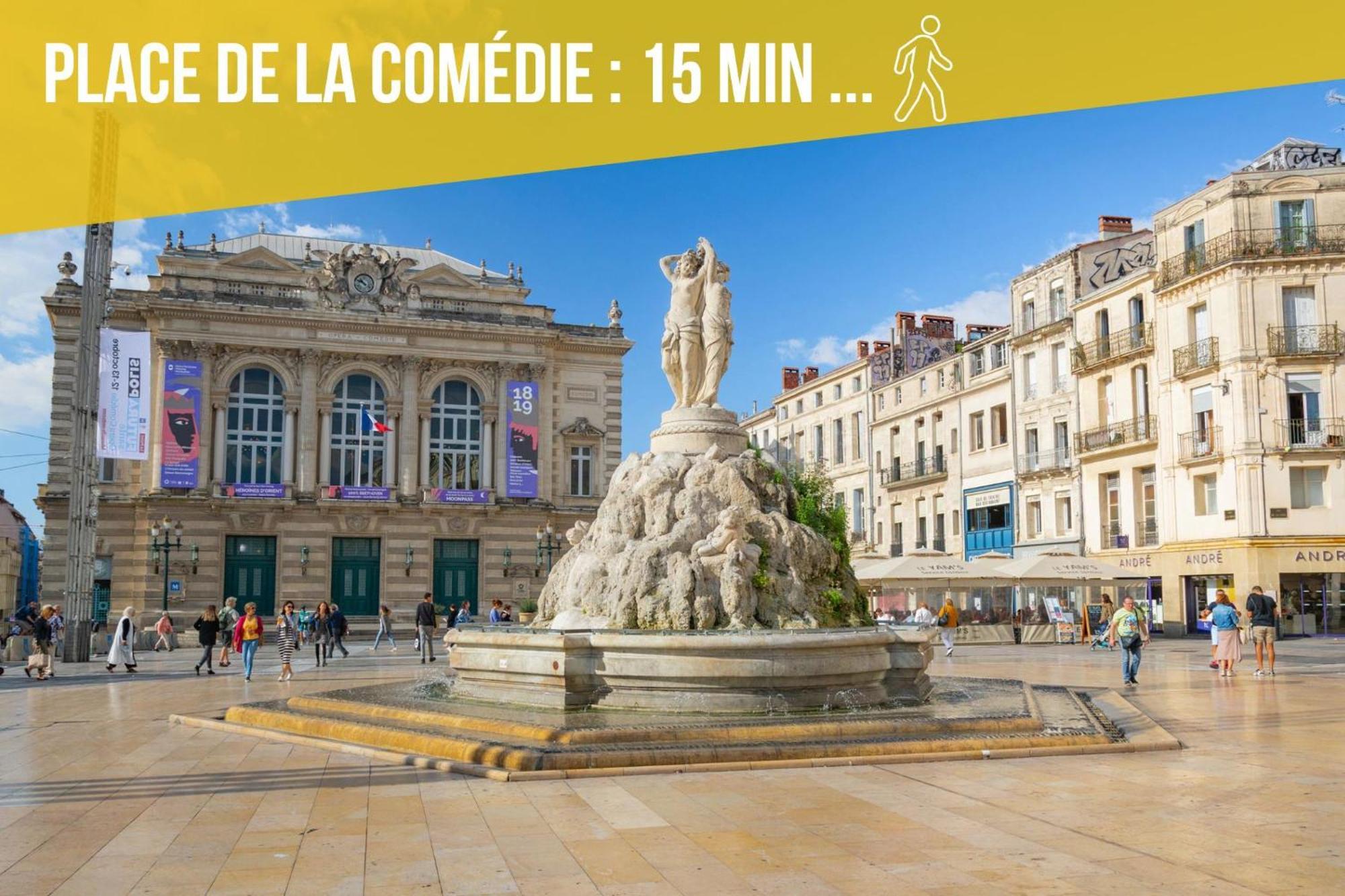 Amja Proche Clinique Saint-Roch Apt 3 Chambres 3 Salles De Bain Parking Gratuit Ideal Famille Groupe Coworking 10 Min Centre Ville 10 Min Plage 5 Min Sortie Autoroute Montpellier Exteriör bild